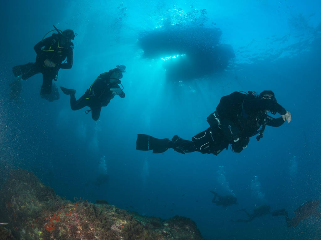 Open Water La Herradura