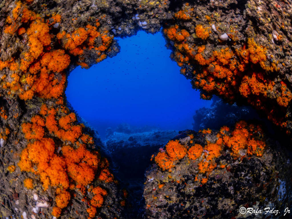 Cueva de las Palomas