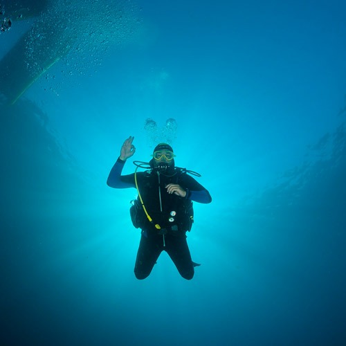 Buceo La Herradura